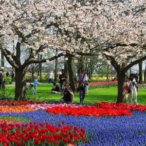 Meet your Posher, Henry